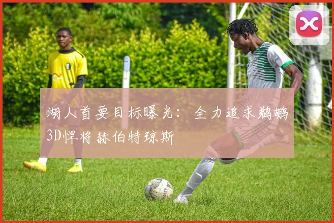 湖人首要目标曝光:全力追求鹈鹕3D悍将赫伯特琼斯